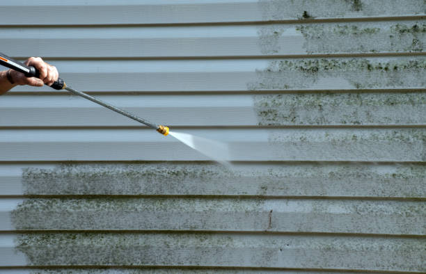 Best Roof Pressure Washing  in Byram, CT